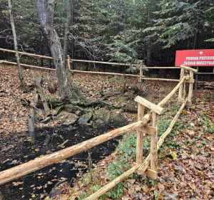 Odrzykoń zamek - Prządki - Sucha Góra - Kiczara - Królewska - Korczyna - 4