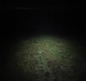 Droga na Szyszki Górę - Stara Kraśnica - 3