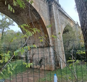 À la poursuite de l'Avène - Cournonsec - 3