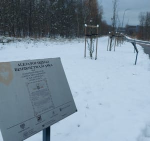 Bolina - Nikiszowiec - Dolina Trzech Stawów - Katowice - 4