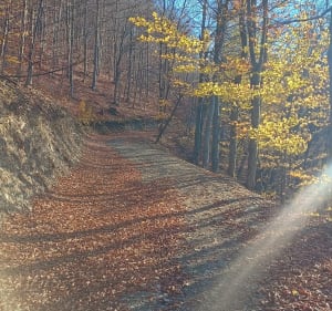 Trasa biegowa Zapora Porąbka-Żar-Kiczera-zapora. - Porąbka - 5