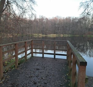 Szachty i wieza widokowa - Poznań - 4