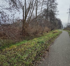 Nad Jezioro Kamionkowskie - Toruń - 4