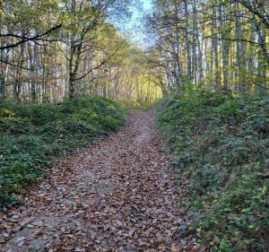 Rando Inières et Ségala - Sainte-Radegonde - 3