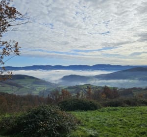 Boucle pédestre autour de Saint-Julien-sur-Bibost - Saint-Julien-sur-Bibost - 3
