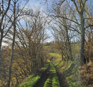 Boucle pédestre autour de Saint-Julien-sur-Bibost - Saint-Julien-sur-Bibost - 4