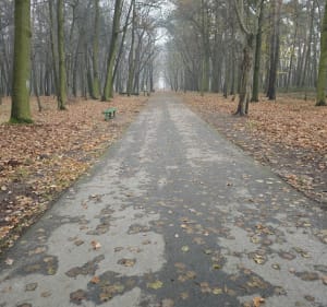 Pleszewskie planty i spacer po lesie - Pleszew - 4