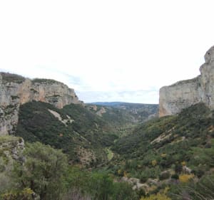 Le cirque de l'Infernet par la boucle des Fenestrettes - Saint-Guilhem-le-Désert - 3