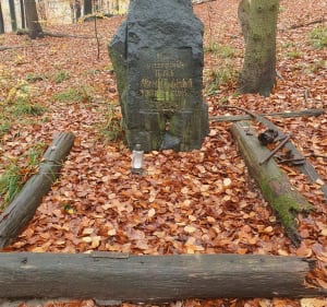 Szczecin Miejsce katastrofy lotniczej w 1935r. Dąb myśliwych - Szczecin - 5