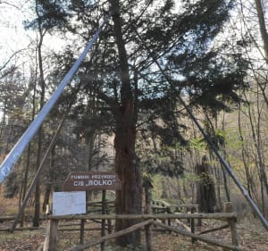 3 Zamki - Wałbrzych - 3