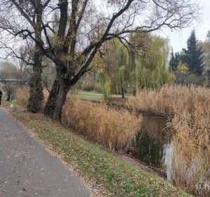 Warszawa Kępa Potocka - Warszawa - 4