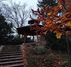Spacerowym krokiem przez Park Południowy - sonia - 5