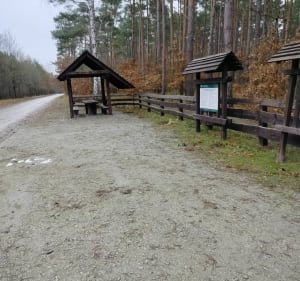 Jesień w lesie - Gołaźnia - 4