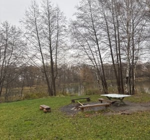 Las Leśnicki i jeziorka. - Wrocław - 5