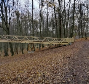 Kładka wśród drzew w Poznaniu - Poznań - 3