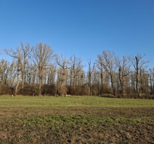 Błonia Nadsańskie - Stalowa Wola - Stalowa Wola - 4