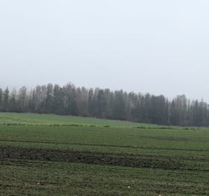 Boucle de Sainte-Euphraise, par Belleaucourt - Coulommes-la-Montagne - 3