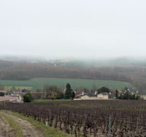 Boucle de Sainte-Euphraise, par Belleaucourt - Coulommes-la-Montagne - 5