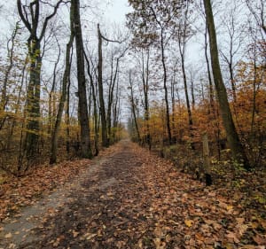 Relaks w Lasku Marcelińskim - Poznań - 5