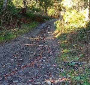 Wymagająca trasa na Pilsko ze Słowacji - Námestovo - 5