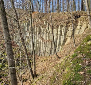 Bazaltowa Góra Paszowice - Paszowice - 3