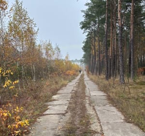 Leśna Pętelka - Bydgoszcz - 3