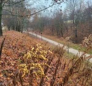 Fort Włochy - Warszawa - 3