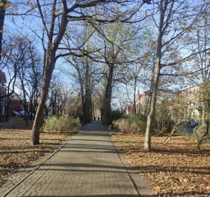 WYCIECZKA ROWEROWA DOKOŁA CENTRUM MIASTA - Ostrów Wielkopolski - 3