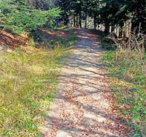 Babia Góra ze Słowacji, jako alternatywa do polskich szlaków - Oravská Polhora - 3