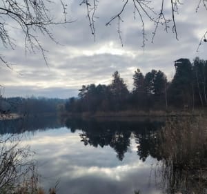 Jezioro Glinianki i stacja kolejowa Mosina-Pożegowo - Mosina - 3