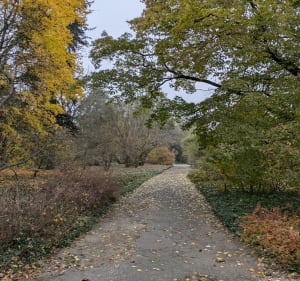 Spacer do Ogrodu Botanicznego - Poznań - 4