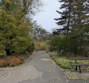 Spacer do Ogrodu Botanicznego - Poznań - 5