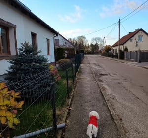 Spacer po Nowym Stawie - Nowy Staw - 5