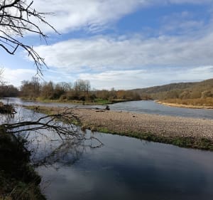 Moselle Sauvage (RNR) - Bainville-aux-Miroirs - 5