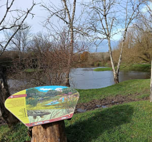 Moselle Sauvage (RNR) - Bainville-aux-Miroirs - 3