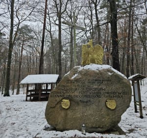 Spacer po Górze Chelmskiej, Koszalin - Koszalin - 4