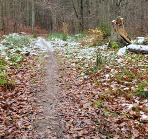 Z Matarni orzez TPN i Kleszą Drogę - Gdańsk - 4