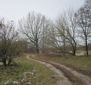 Ostrołęka - spacer na plażę - Ostrołęka - 3