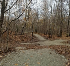 Z Koszutki przez Park Wełnowiecki i Srokowiec - Katowice - 3