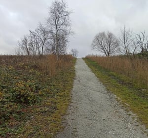 Z Koszutki przez Park Wełnowiecki i Srokowiec - Katowice - 4