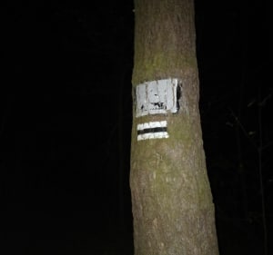 Piesza wedrowka po Czarnym lesie - Rybnik - 4