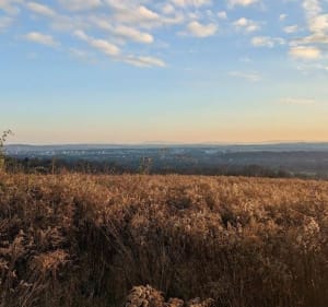 Spacer grzbietem Sikornika z widokiem na Tatry - Kraków - 3