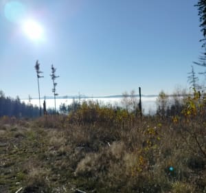 Wędrówka po górach Suchych - Kowalowa - 3
