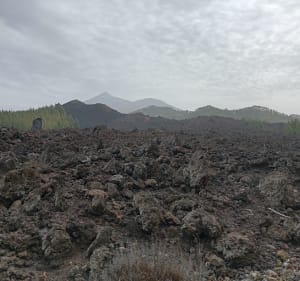 Volcan Chinyero depuis San José - San José de los Llanos - 4