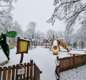 Park Grabek w Czeladzi - Czeladź - 5