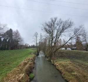 Młynówką do mydlnik, powrót rudawą - Kraków - 4