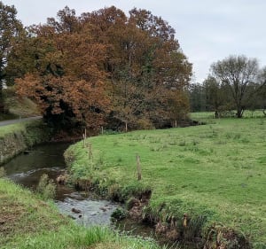 Hôtels en Vallée  du Lozon - Marigny-le-Lozon - 4