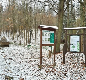Wokół Jabłowskiej Góry i nad leśne jeziorko - Załachowo - 3