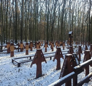 Rezerwat Biele Chojnowskie - Wólka Pęcherska - 4
