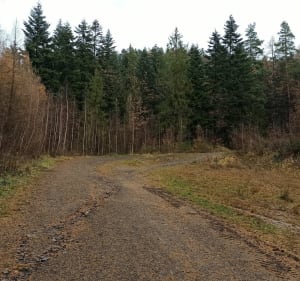Czupel, krótka pętla z widokiem na Bielsko - Bielsko-Biała - 3